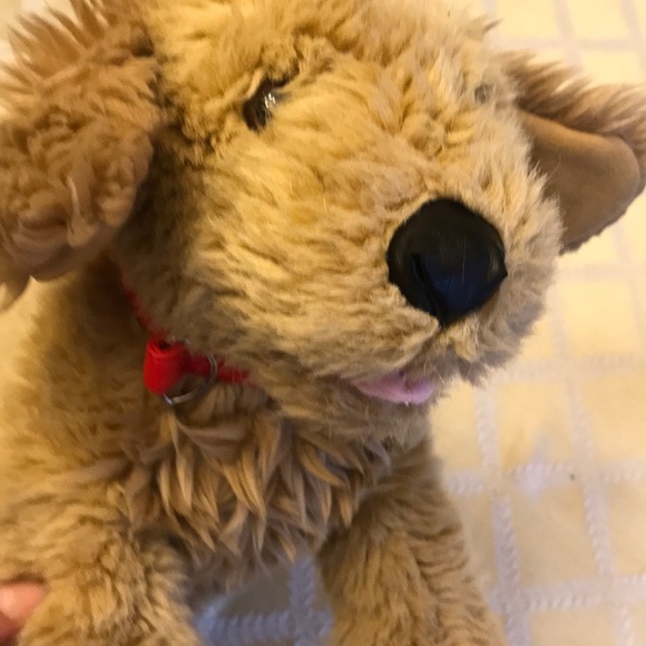 Gold build a bear dog w boots and coat - Picture 3 of 9